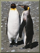 BlackandWhite_020178